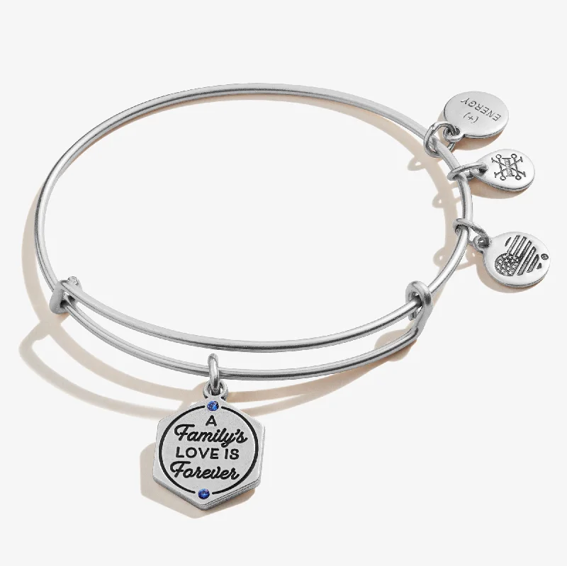 The Perfect Jewelry Piece At The Perfect Discount 'A Family's Love is Forever' Charm Bangle