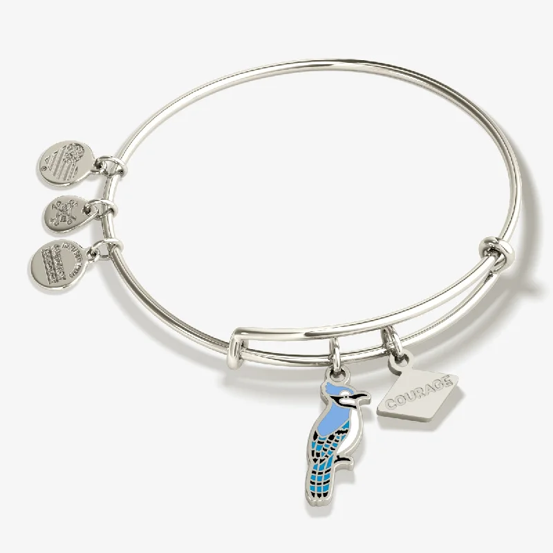 Holiday Jewelry Sale – Perfect Gifts At Great Prices 'Courage' Blue Jay Duo Charm Bangle Bracelet