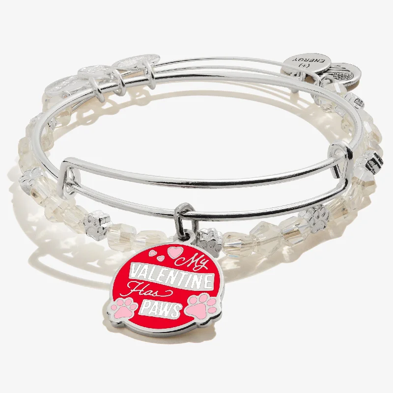 Elegant Jewelry, Affordable Luxury – Shop Now 'My Valentine Has Paws' Charm Bangle Bracelet, Set of 2