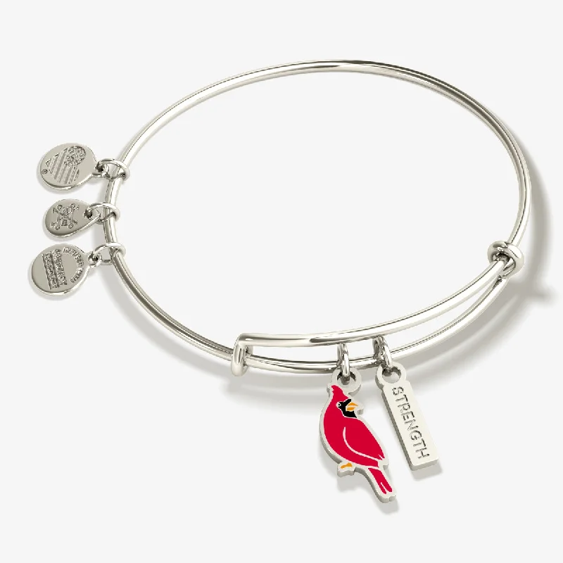 Jewelry Sale Bonanza – Grab Your Sparkle Now 'Strength' Cardinal Duo Charm Bangle Bracelet